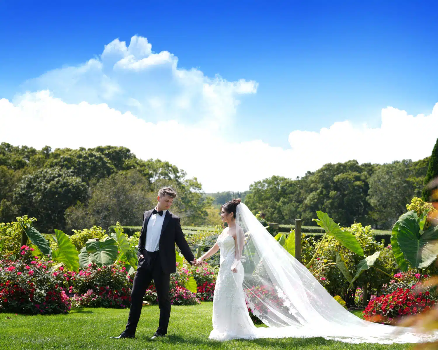 Weddings Header